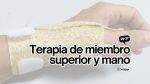 Terapia de miembro superior y Mano 2026/2027